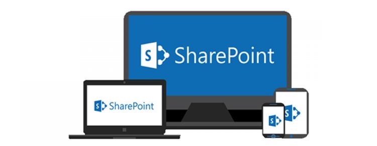 Your Guide to SharePoint Online